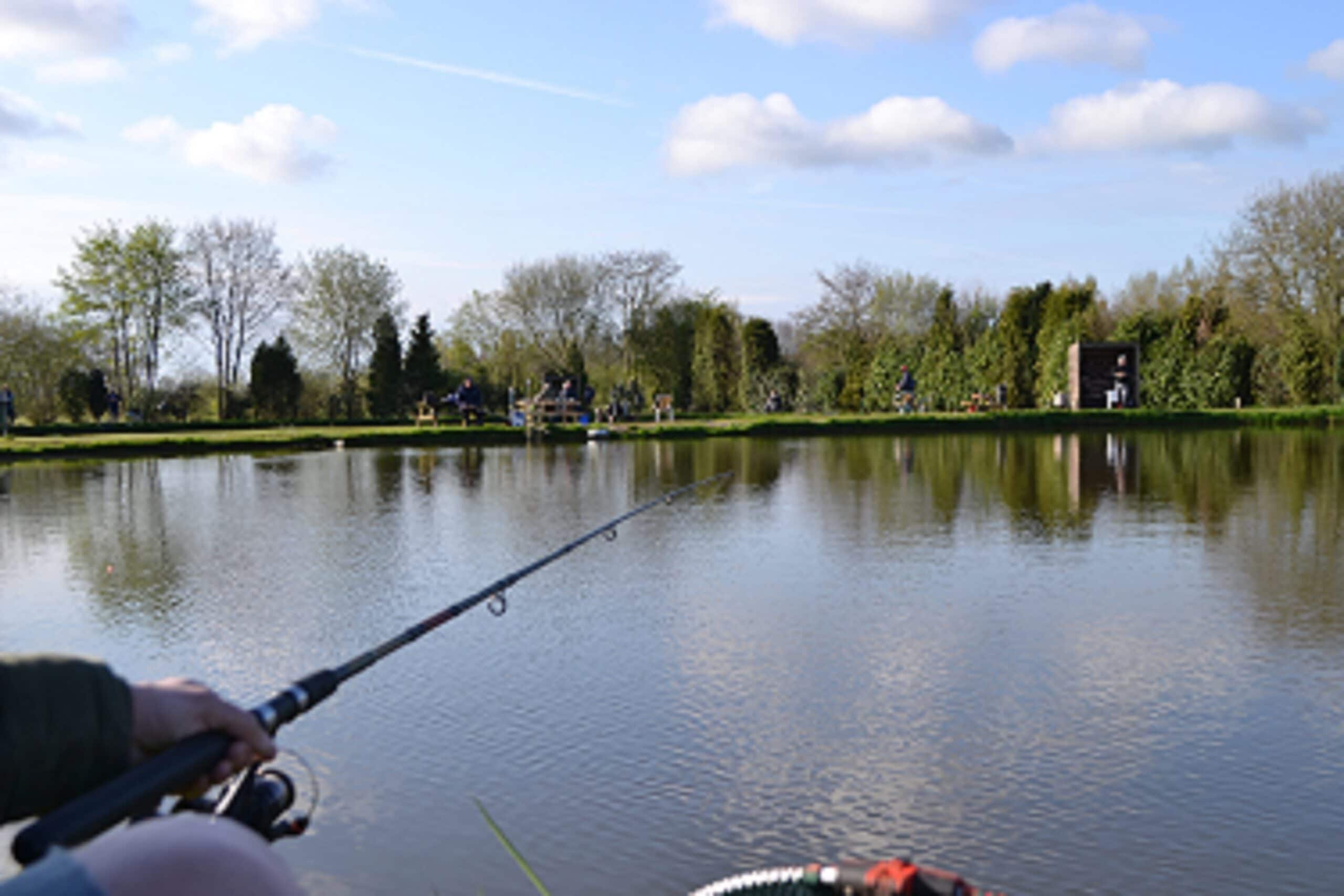 Forel BBQ COBB Rookoven